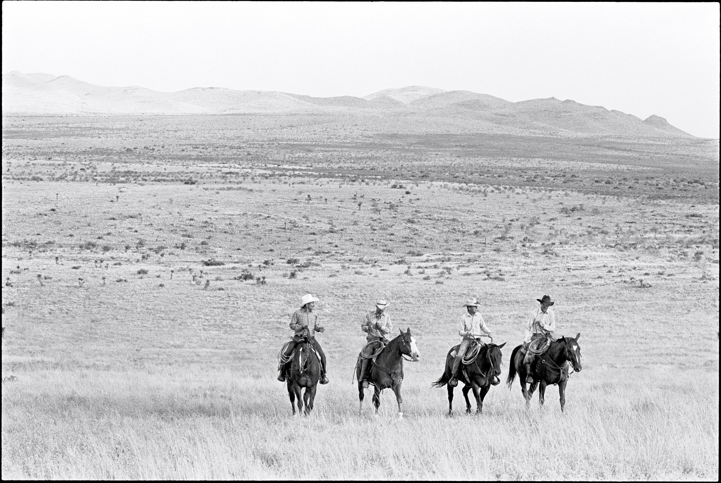 Cowboys on Horseback