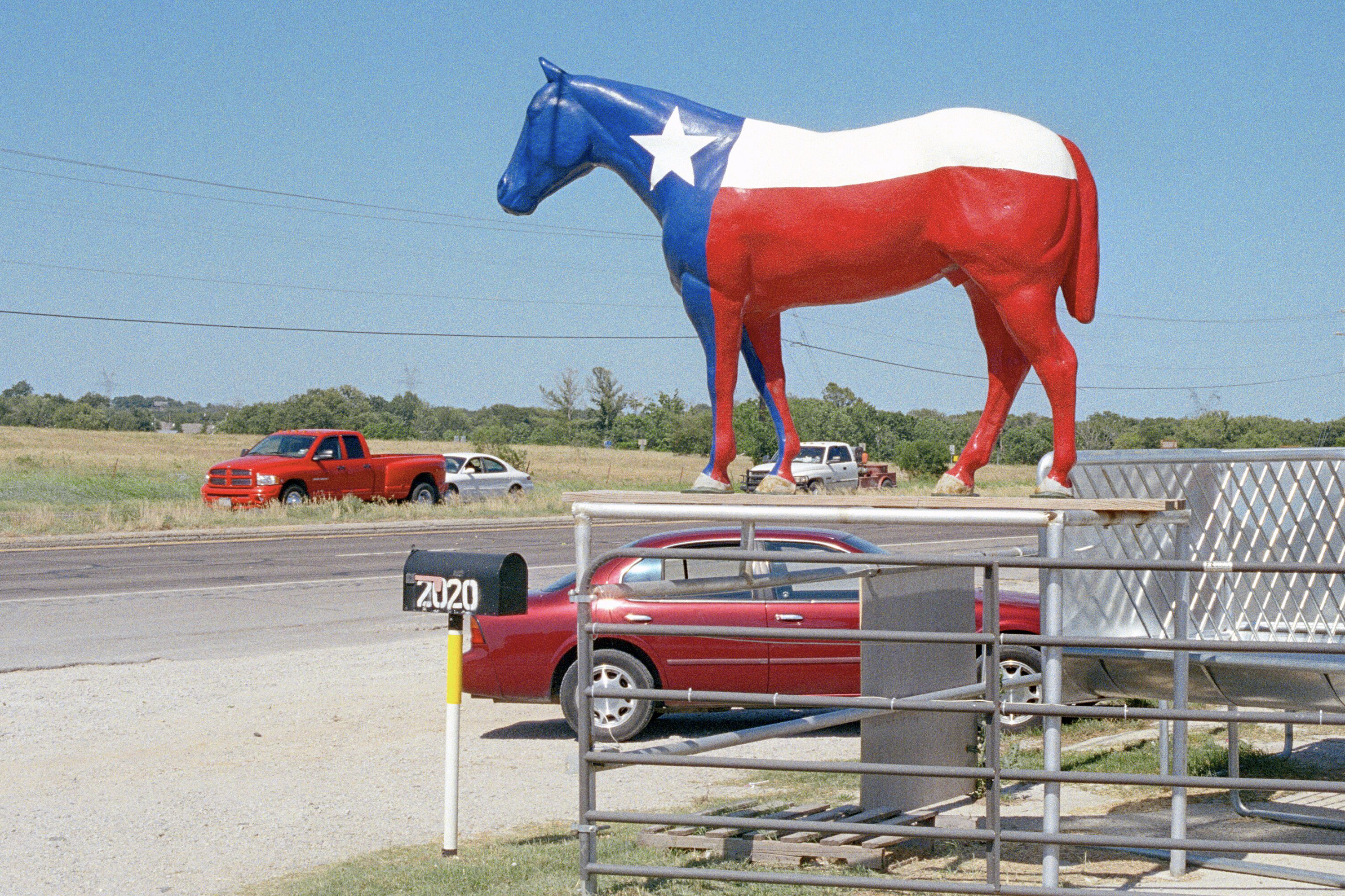 Horse Sign, Weatherford, Texas, 2008