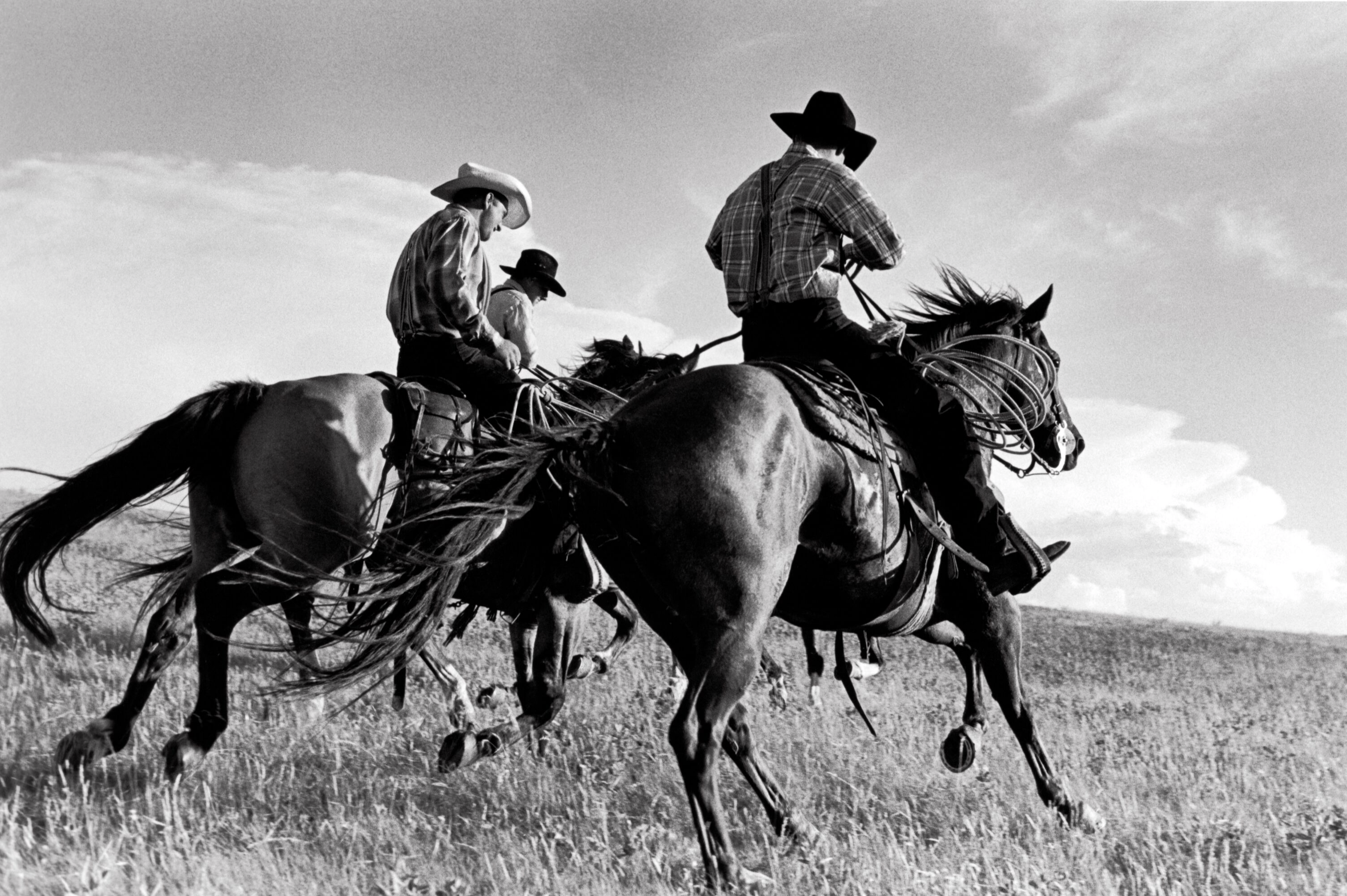 Hutterite Cowboys Galloping