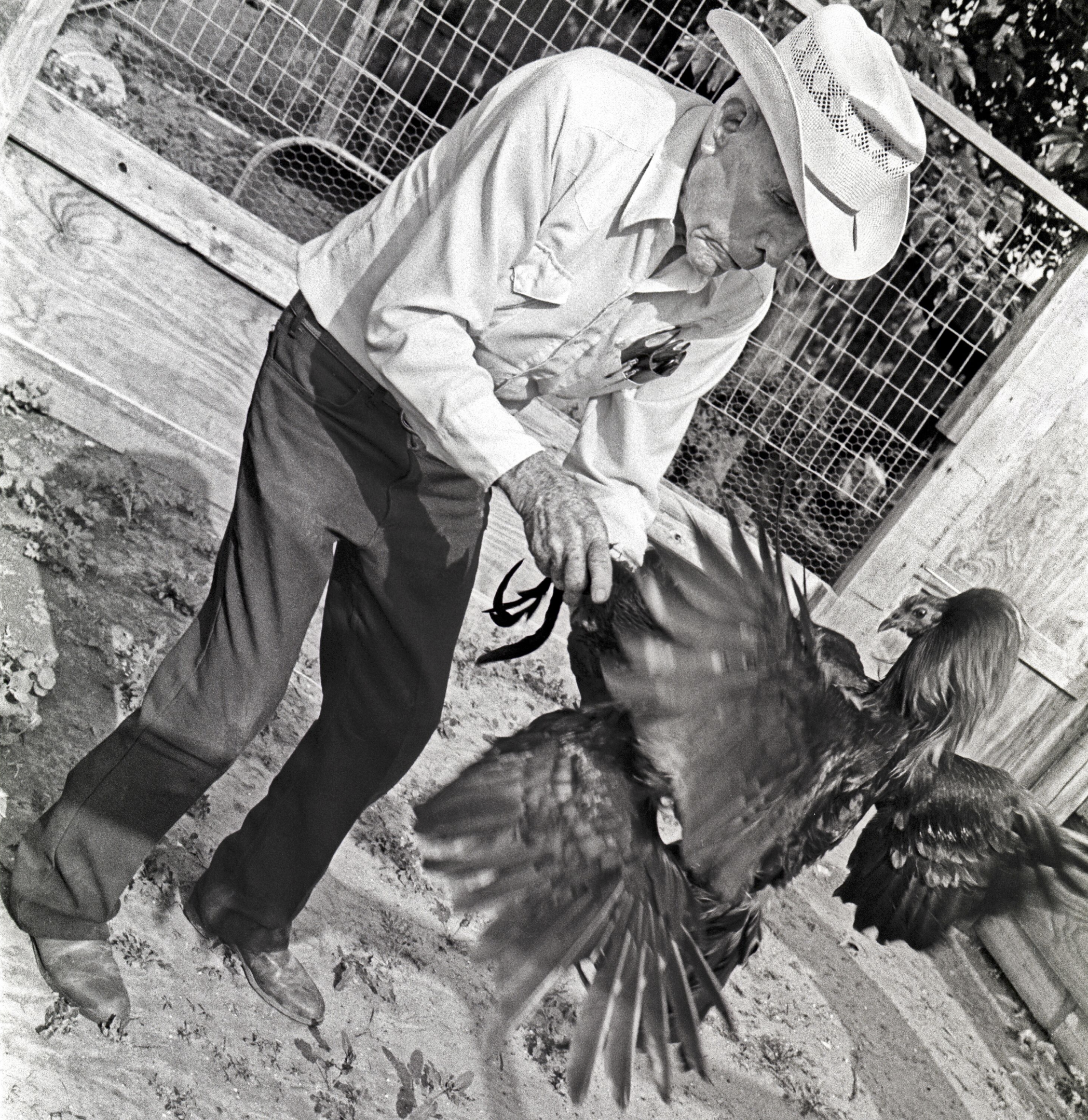 Man Holding Fighting Cock, Webb County, Texas, 1994